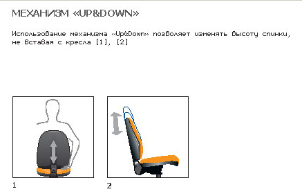 UP_DOWN